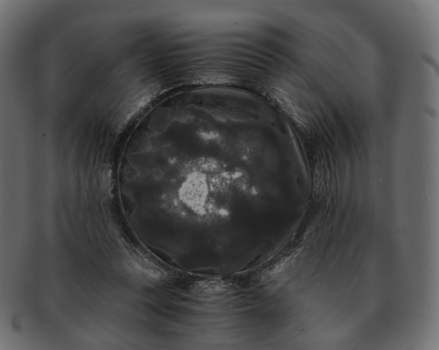 X0000091880351200709191201