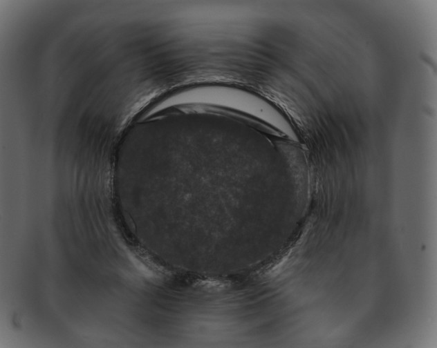 X0000091880352200709191201