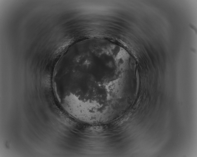 X0000091880353200709191201