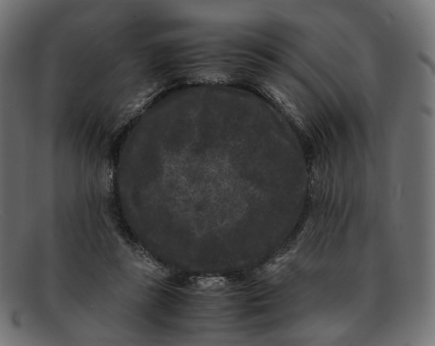 X0000091880355200709191201