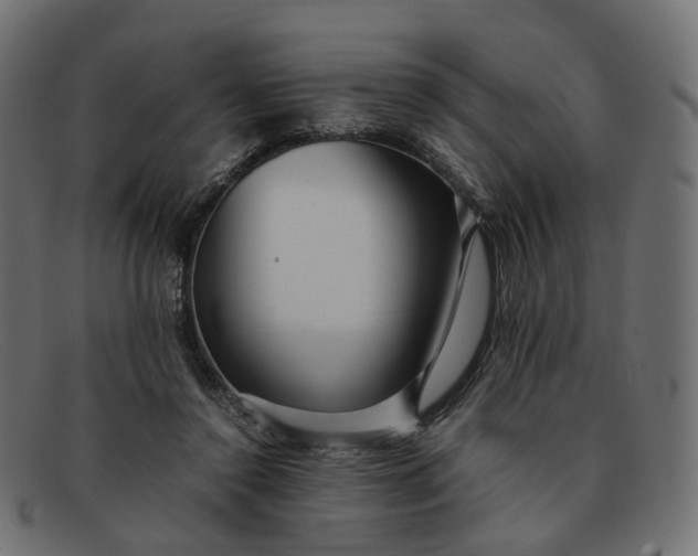 X0000091880356200709191201