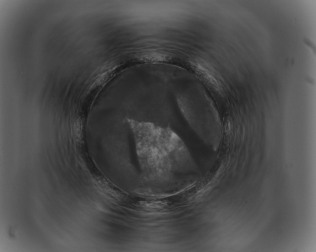 X0000091880359200709191201