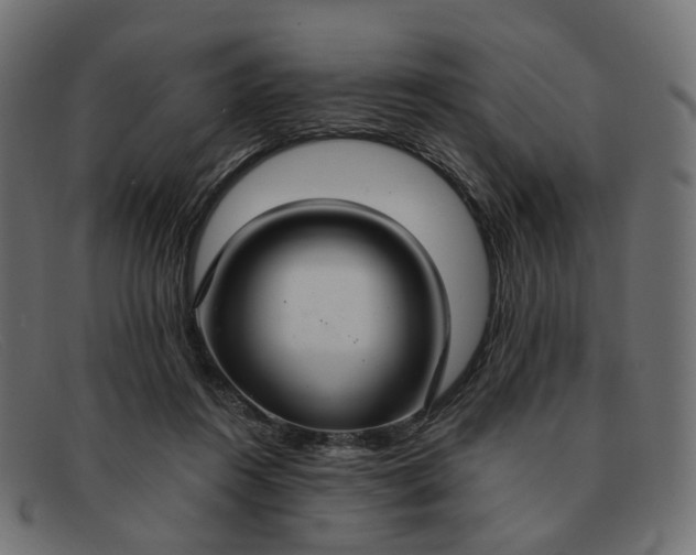 X0000091880360200709191201