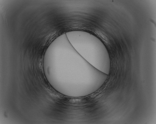 X0000091880361200709191201