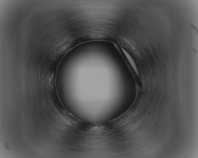 X0000091880364200709191201