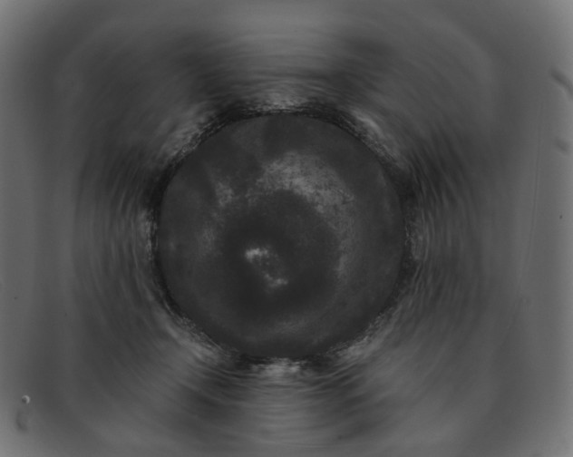 X0000091880366200709191201