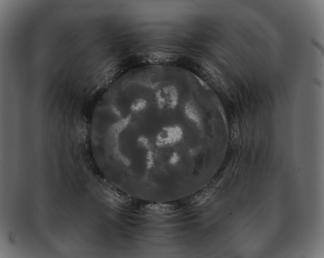 X0000091880367200709191201