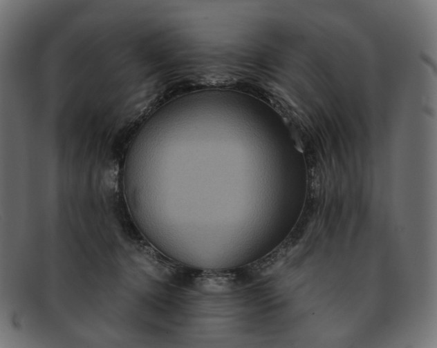 X0000091880368200709191201