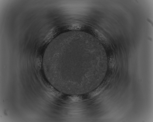 X0000091880370200709191201