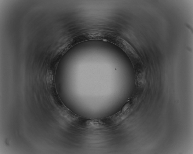 X0000091880372200709191201