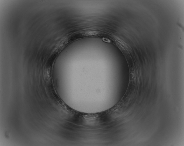 X0000091880373200709191201