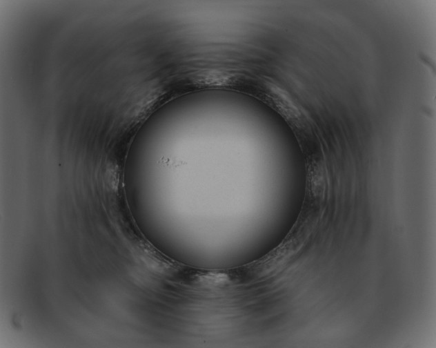 X0000091880374200709191201