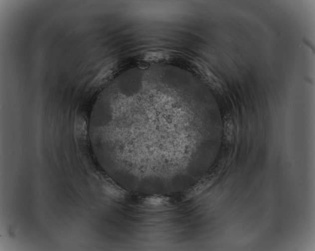 X0000091880375200709191201