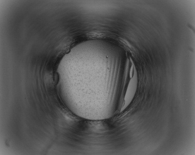 X0000091880377200709191201