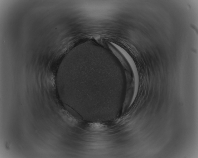 X0000091880380200709191201