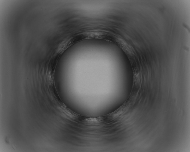 X0000091880381200709191201