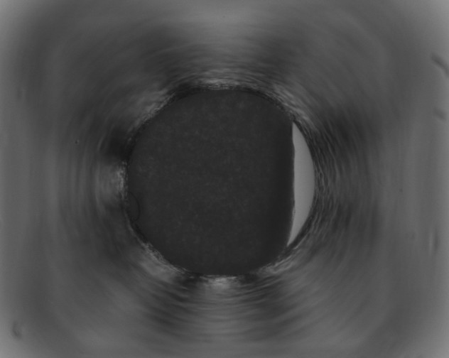 X0000091880382200709191201