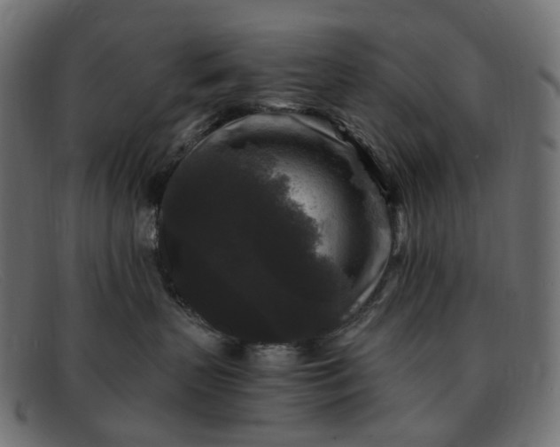 X0000091880383200709191201