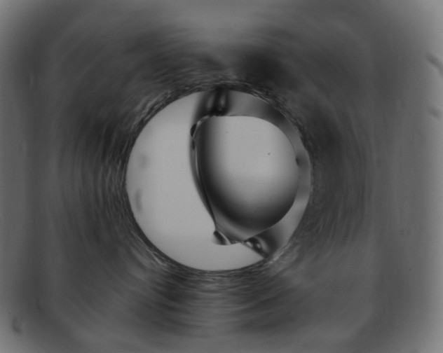 X0000091880384200709191201