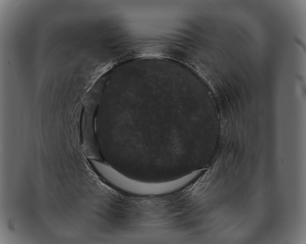 X0000091880385200709191201