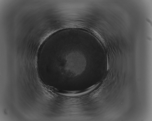 X0000091880387200709191201