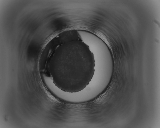 X0000091880389200709191201