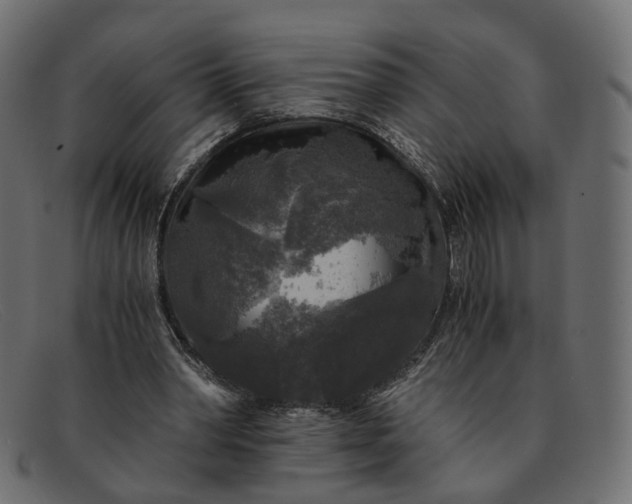 X0000091880390200709191201