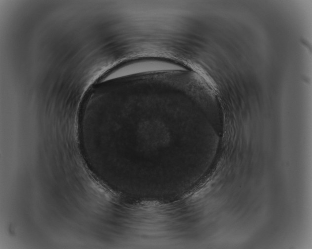 X0000091880391200709191201