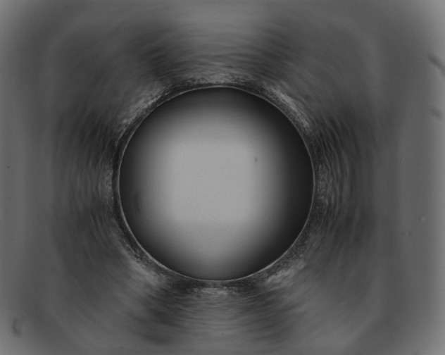 X0000091880394200709191200