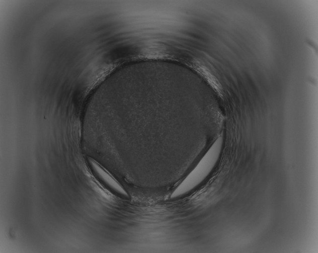 X0000091880397200709191200