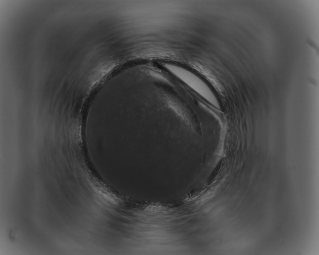 X0000091880399200709191200