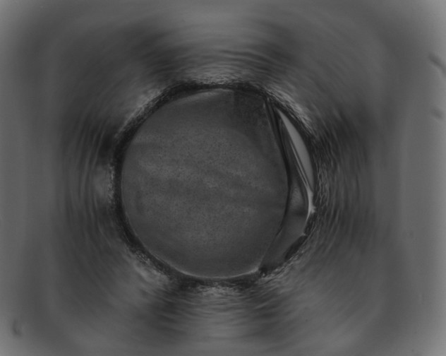 X0000091880400200709191200