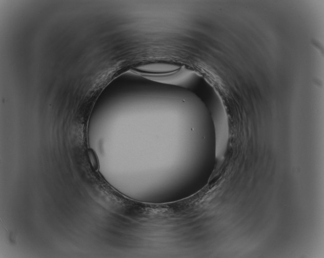 X0000091880401200709191200