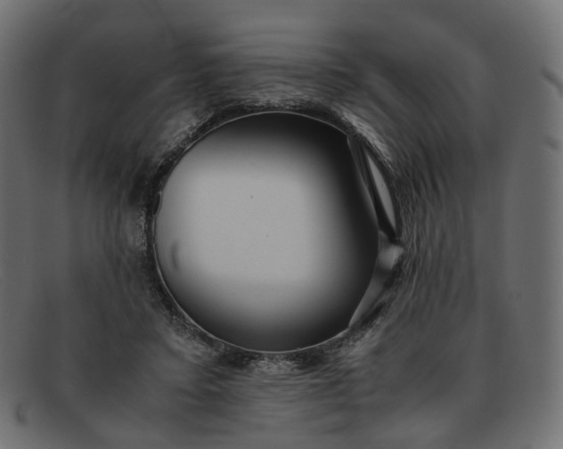 X0000091880403200709191200