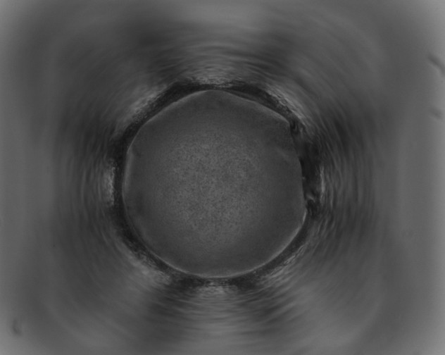 X0000091880404200709191200