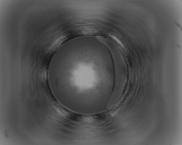 X0000091880405200709191200