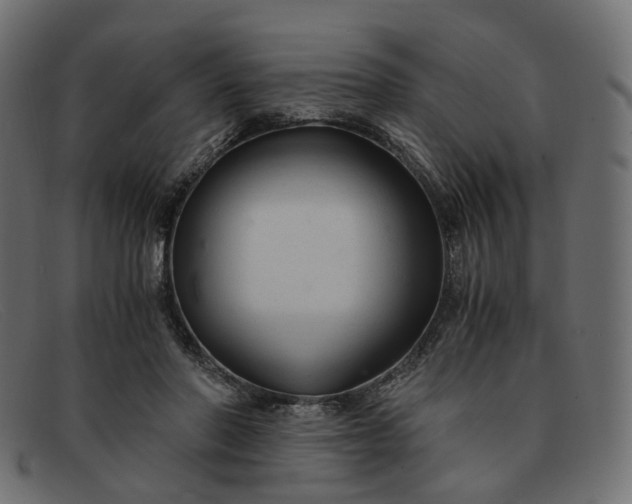 X0000091880406200709191200