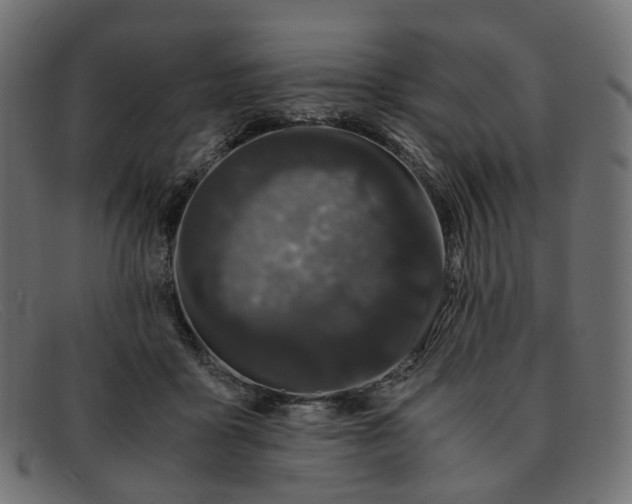 X0000091880411200709191200