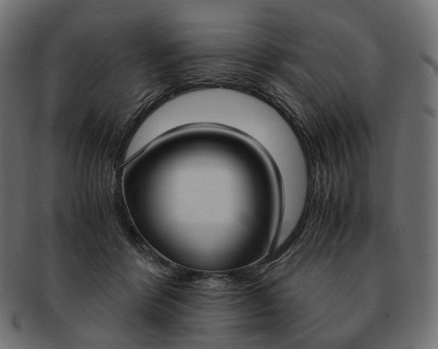 X0000091880412200709191200