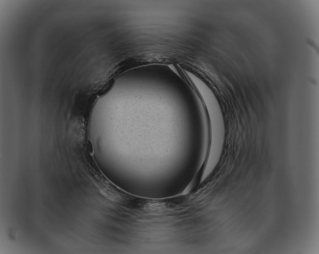 X0000091880413200709191200