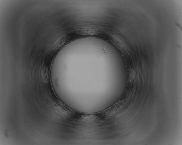 X0000091880414200709191200