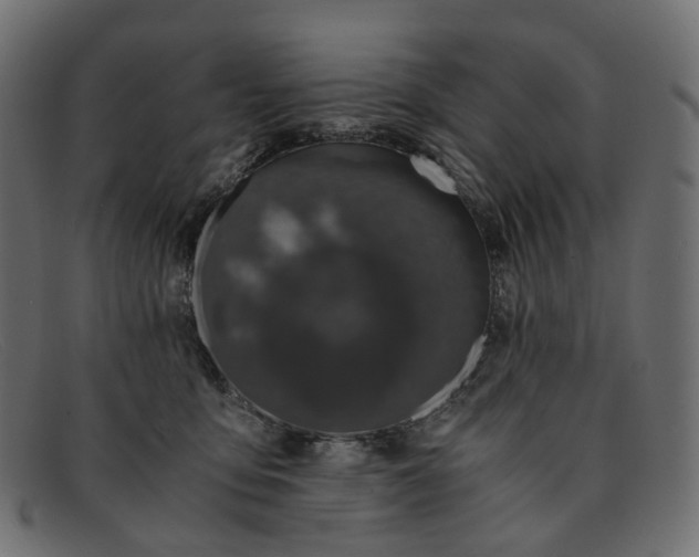 X0000091880419200709191200