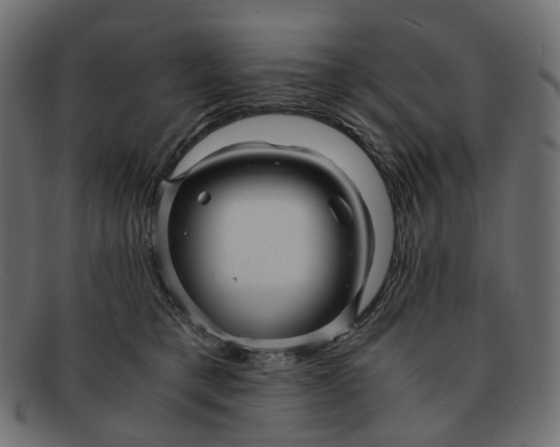 X0000091880421200709191200