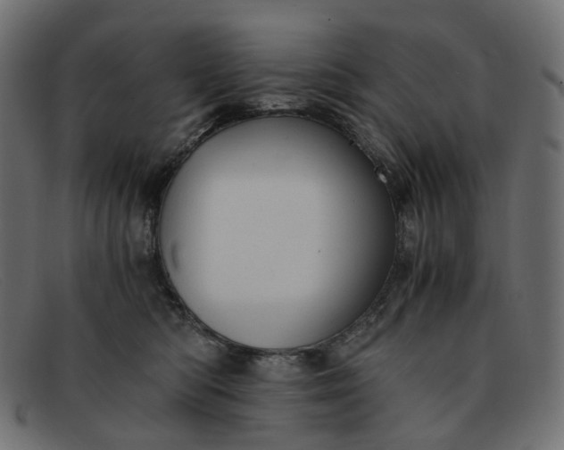 X0000091880422200709191200