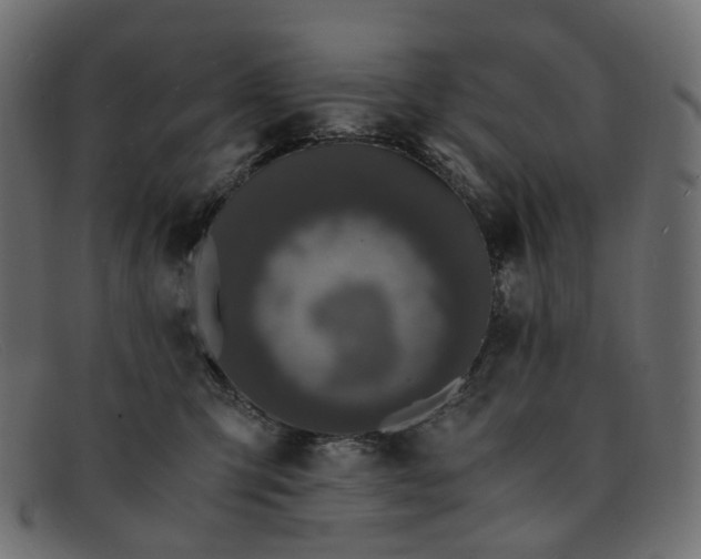 X0000091880423200709191200