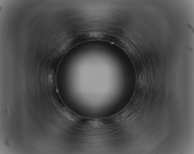 X0000091880424200709191200