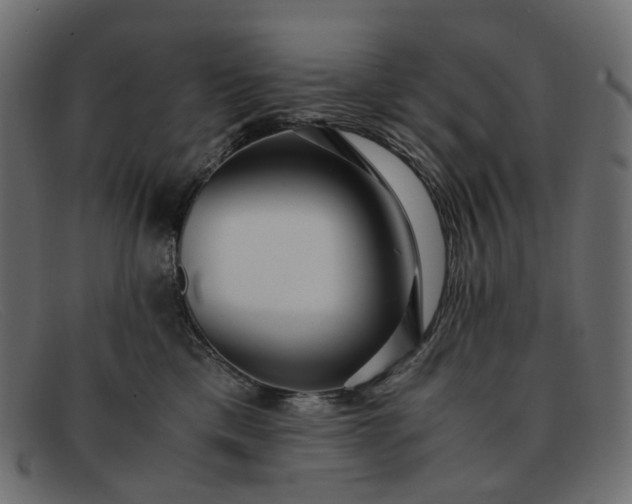 X0000091880425200709191200