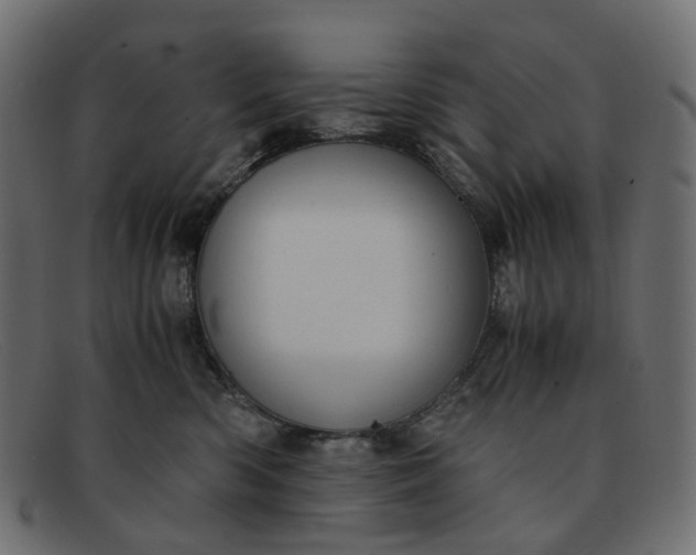 X0000091880426200709191200