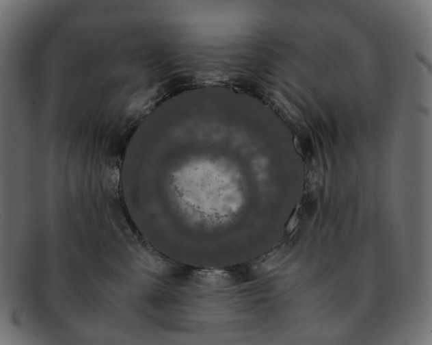 X0000091880427200709191200