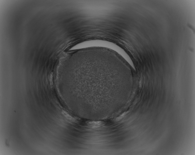 X0000091880428200709191200